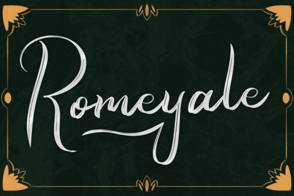 Romeyale Script Amp for Professional Design Projects